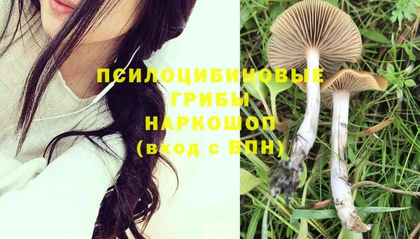дмт Михайлов