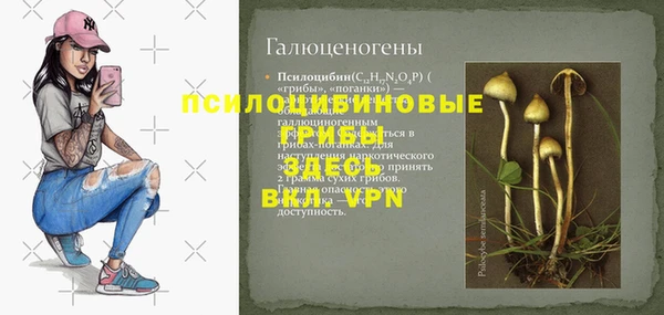 винт Михайловка