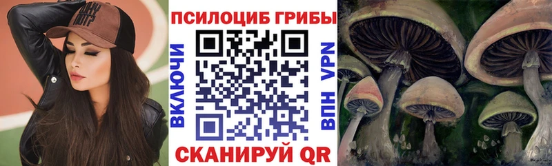 Псилоцибиновые грибы Magic Shrooms  Махачкала 