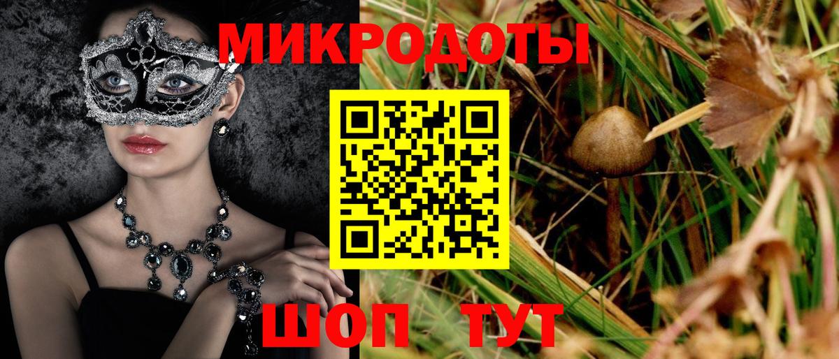 Галлюциногенные грибы Psilocybine cubensis Махачкала