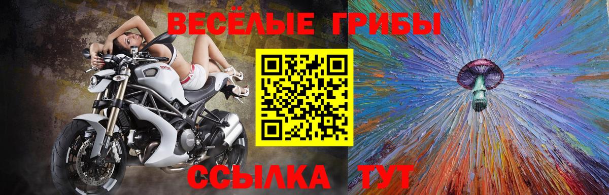Махачкала  Галлюциногенные грибы Psilocybe  Вход с VPN 