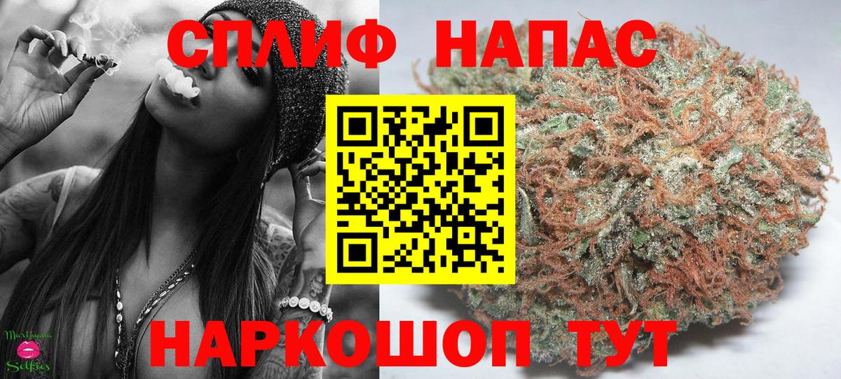 Махачкала  Каннабис семена  Каннабис Amnesia  Вход с VPN 